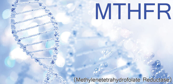MTHFR-Gene-mutations-folate-folic-acid